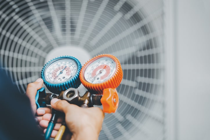 a hand holding a fan